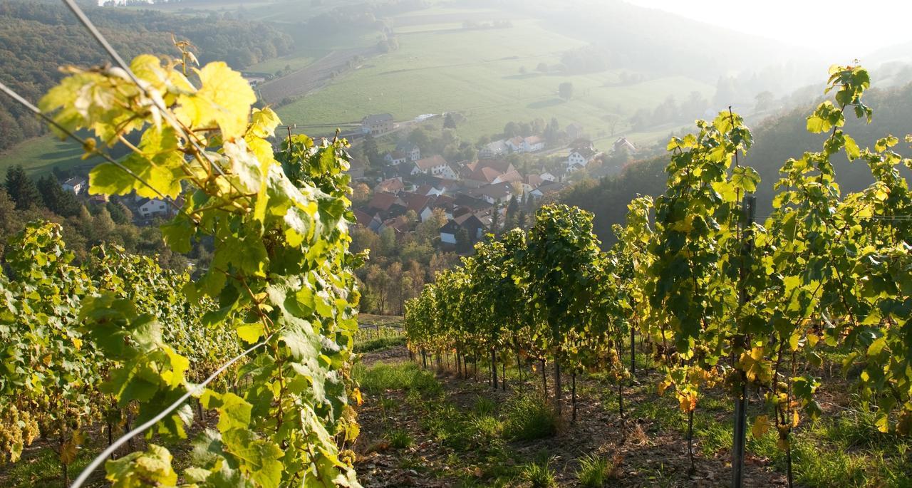 Weingut Hees - Landgasthof Zum Jaeger Aus Kurpfalz Auen Buitenkant foto