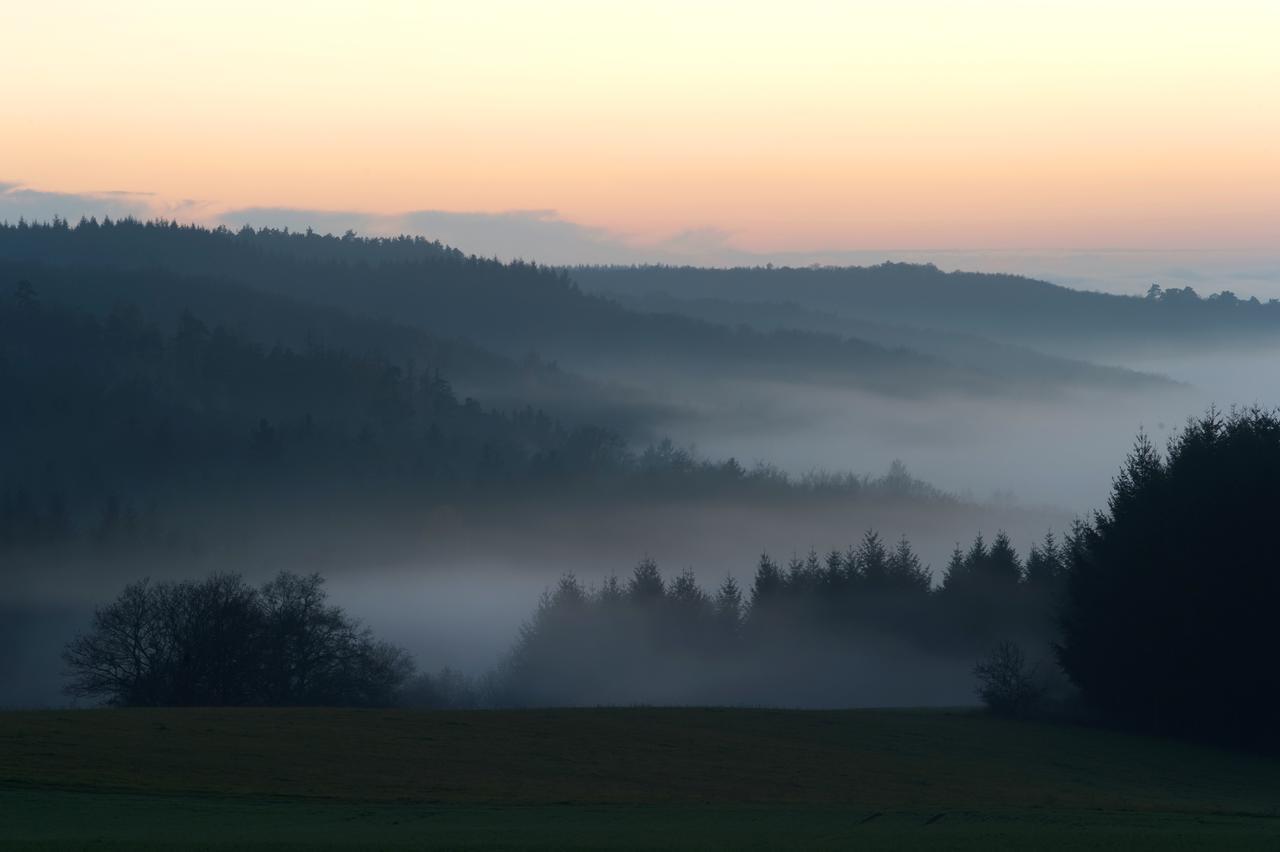 Weingut Hees - Landgasthof Zum Jaeger Aus Kurpfalz Auen Buitenkant foto