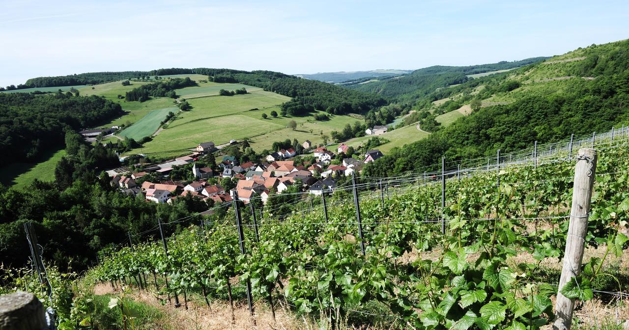 Weingut Hees - Landgasthof Zum Jaeger Aus Kurpfalz Auen Buitenkant foto