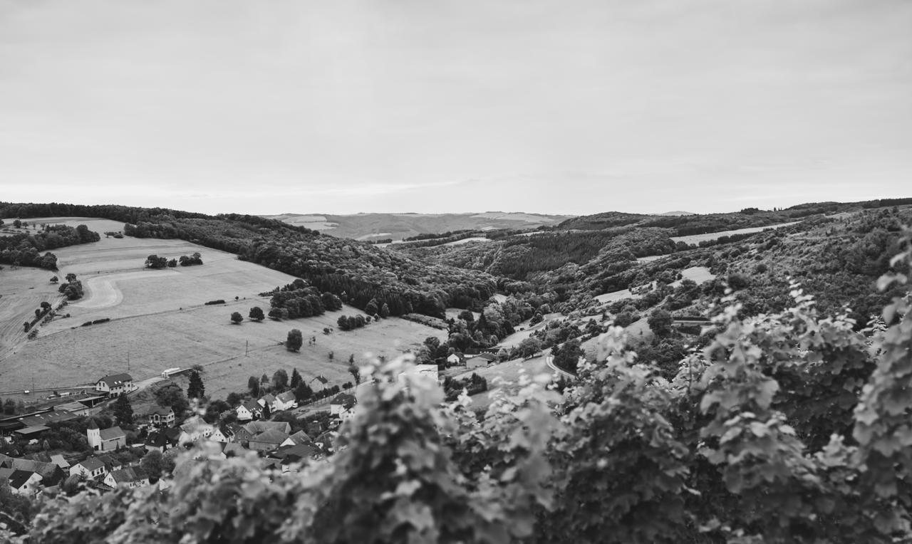 Weingut Hees - Landgasthof Zum Jaeger Aus Kurpfalz Auen Buitenkant foto