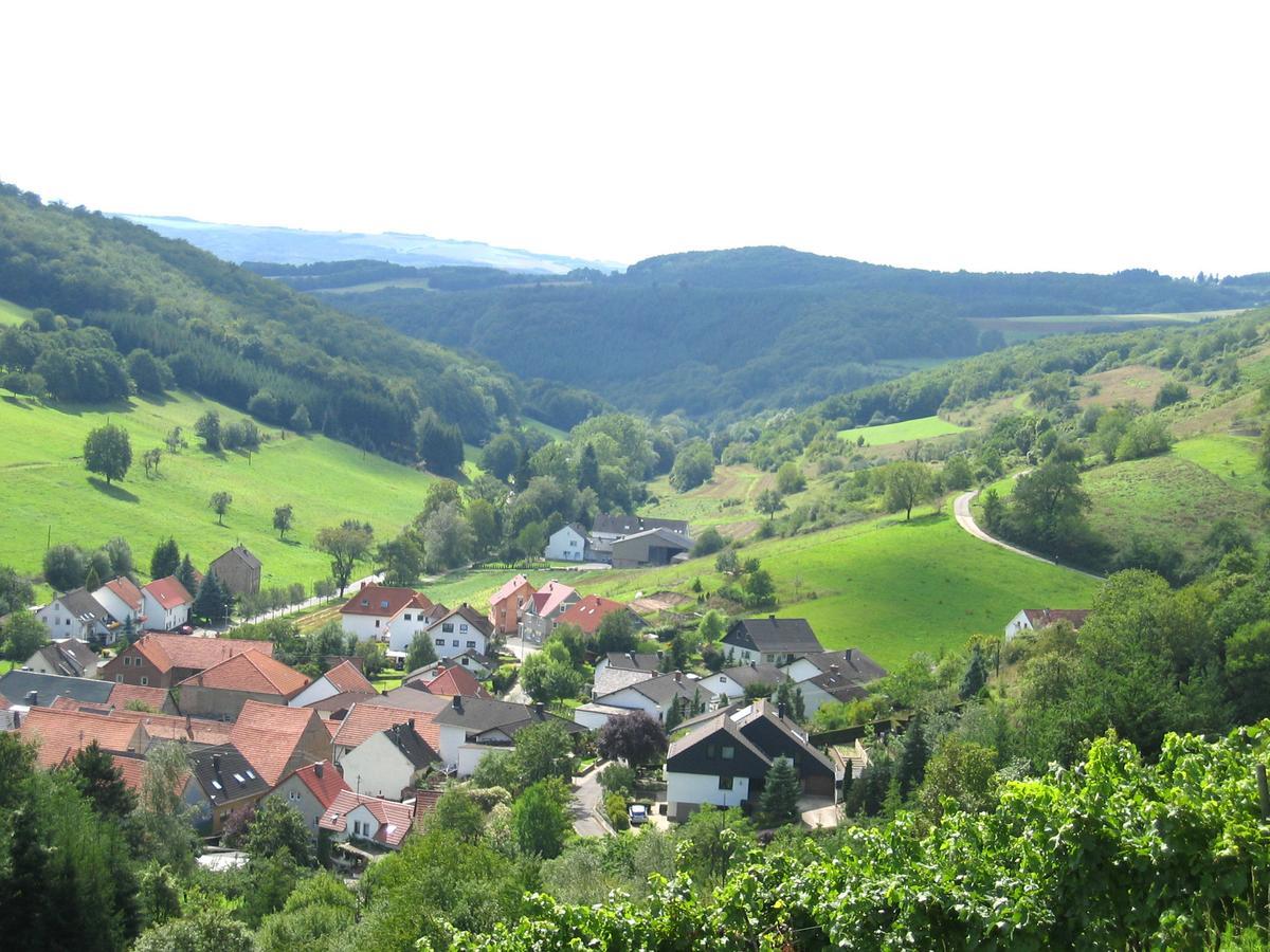 Weingut Hees - Landgasthof Zum Jaeger Aus Kurpfalz Auen Buitenkant foto